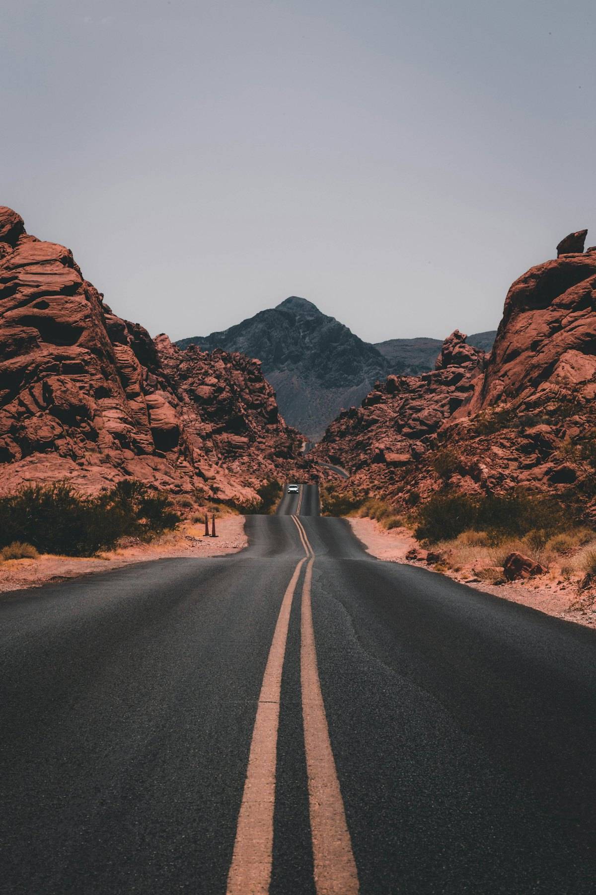 Landscape expanse